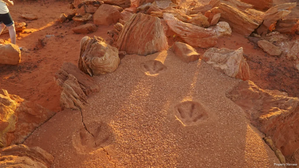 Dinosaur fossil footprints at Cable Beach near Broome