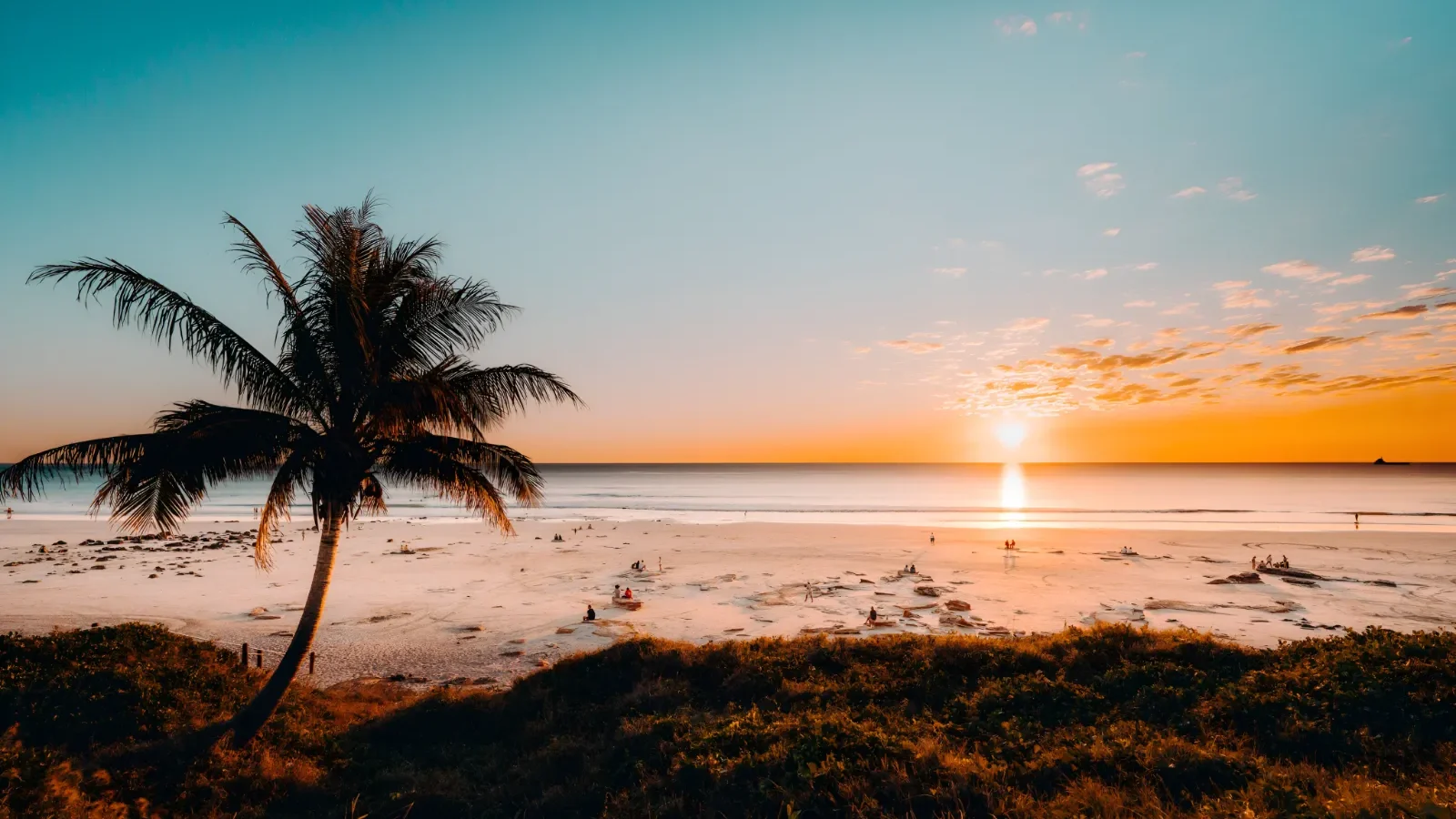 Palm Tree on Sandy Cable Beach at Sunset Broome Western Australia Kimberley Outback