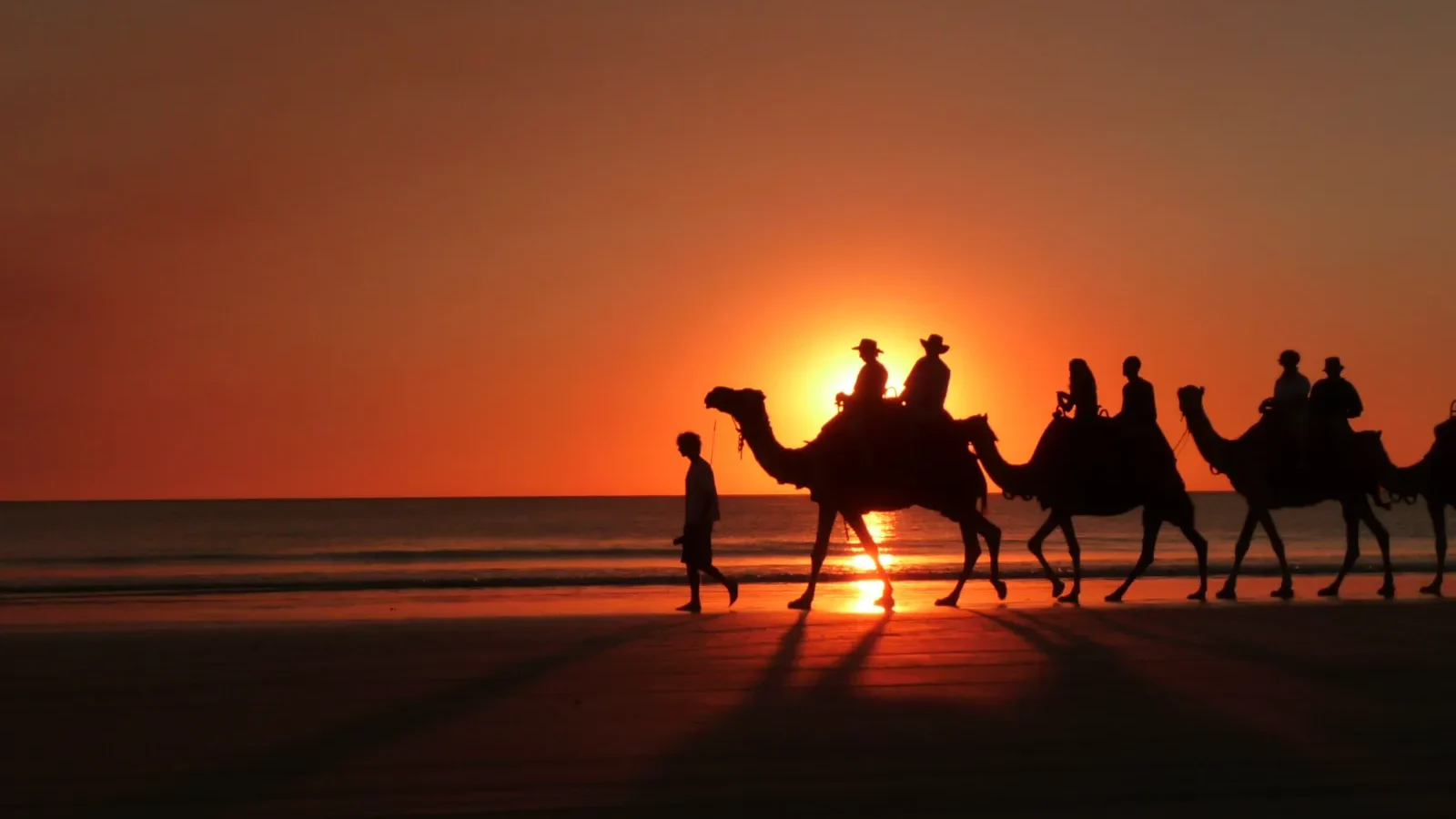 Sunset Camel Ride - Broome